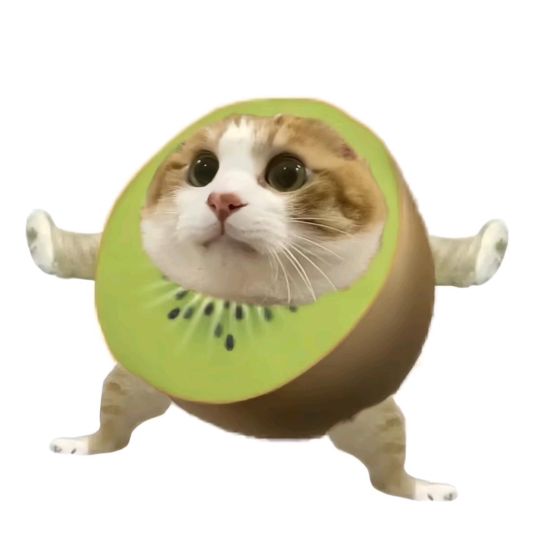 笨笨米诺
