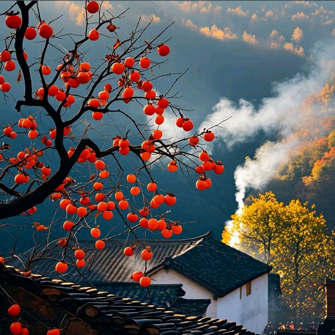 风吟