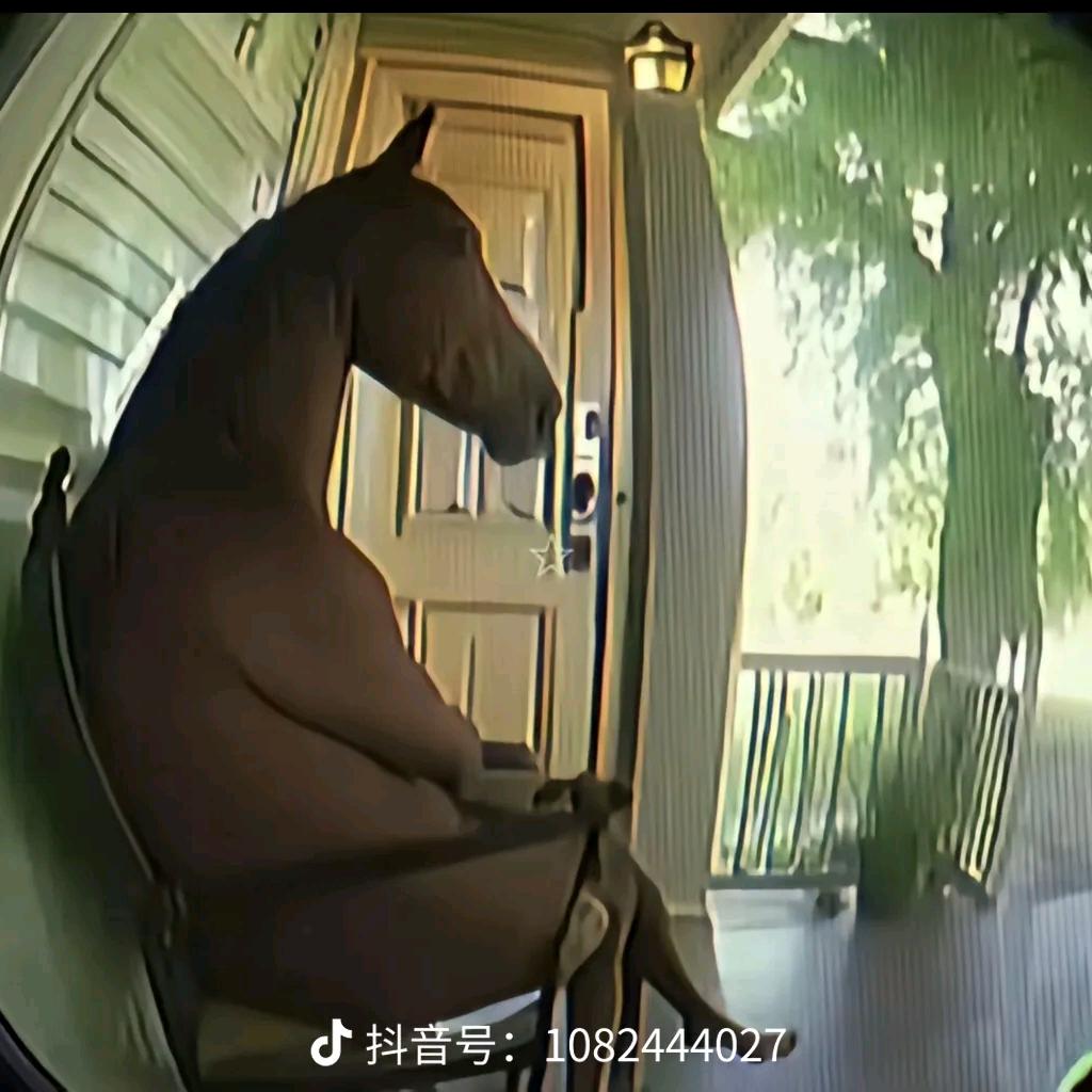 乔爷（巅峰前百）