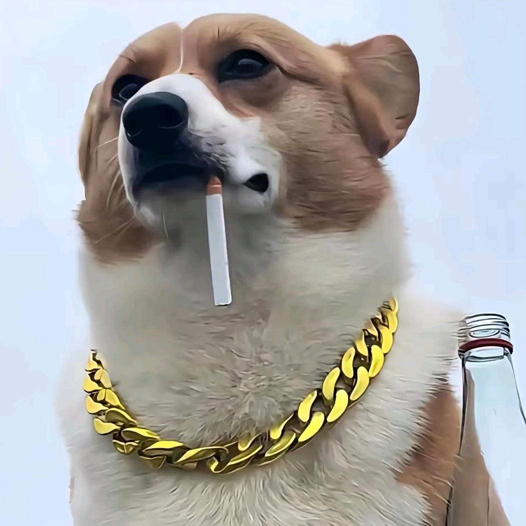 PUBG阿洋新人版