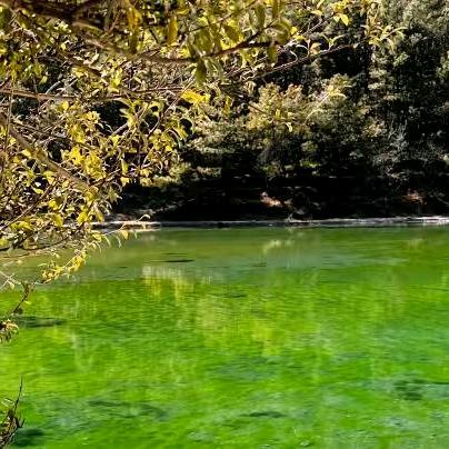 蓝风楚秀好物分享