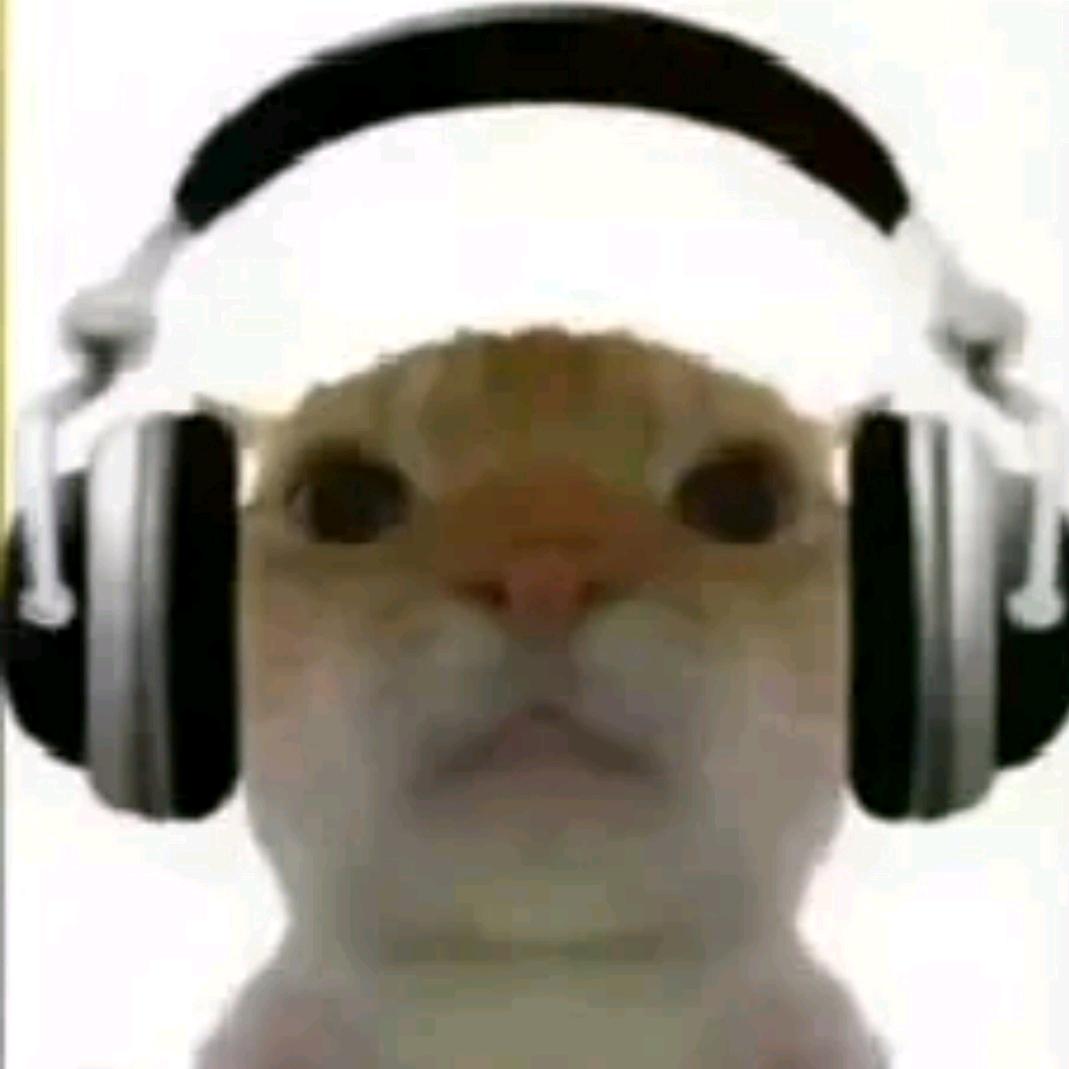 屿