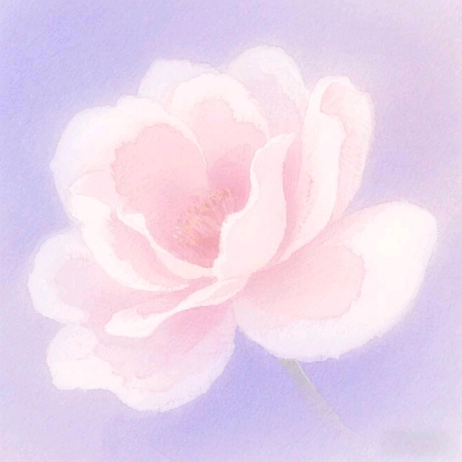 星汐绒语