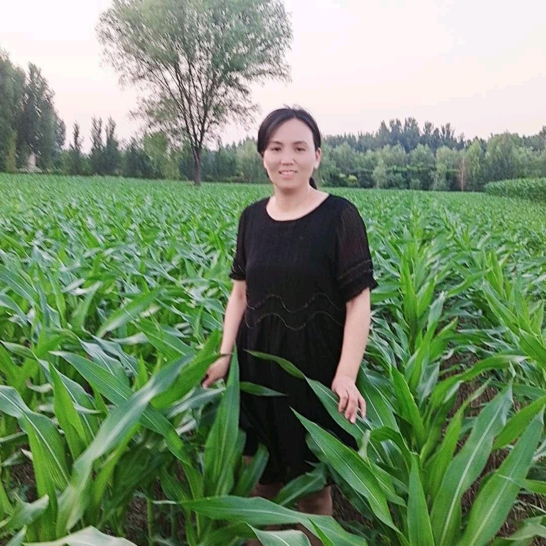 双井农业推广站