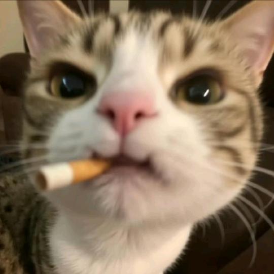 杠精