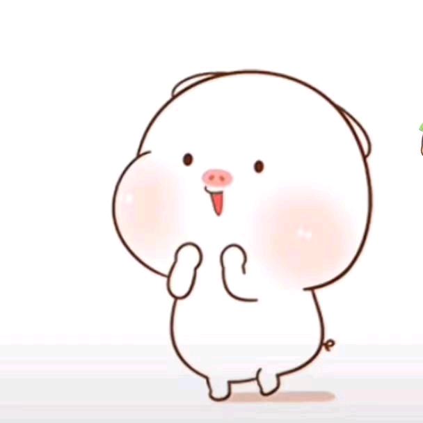 小猪猪