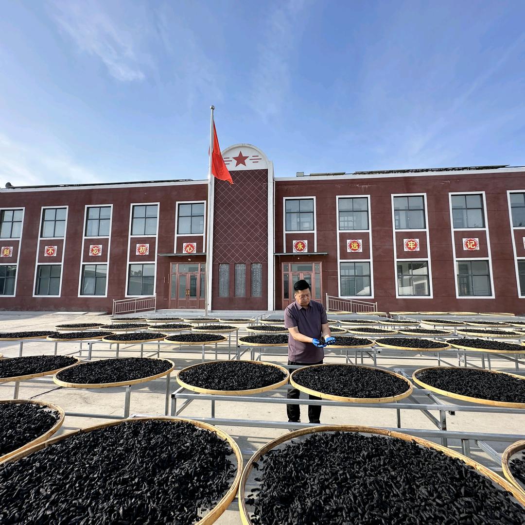 赖九记嵩山黄精🙏嵩山全蝎