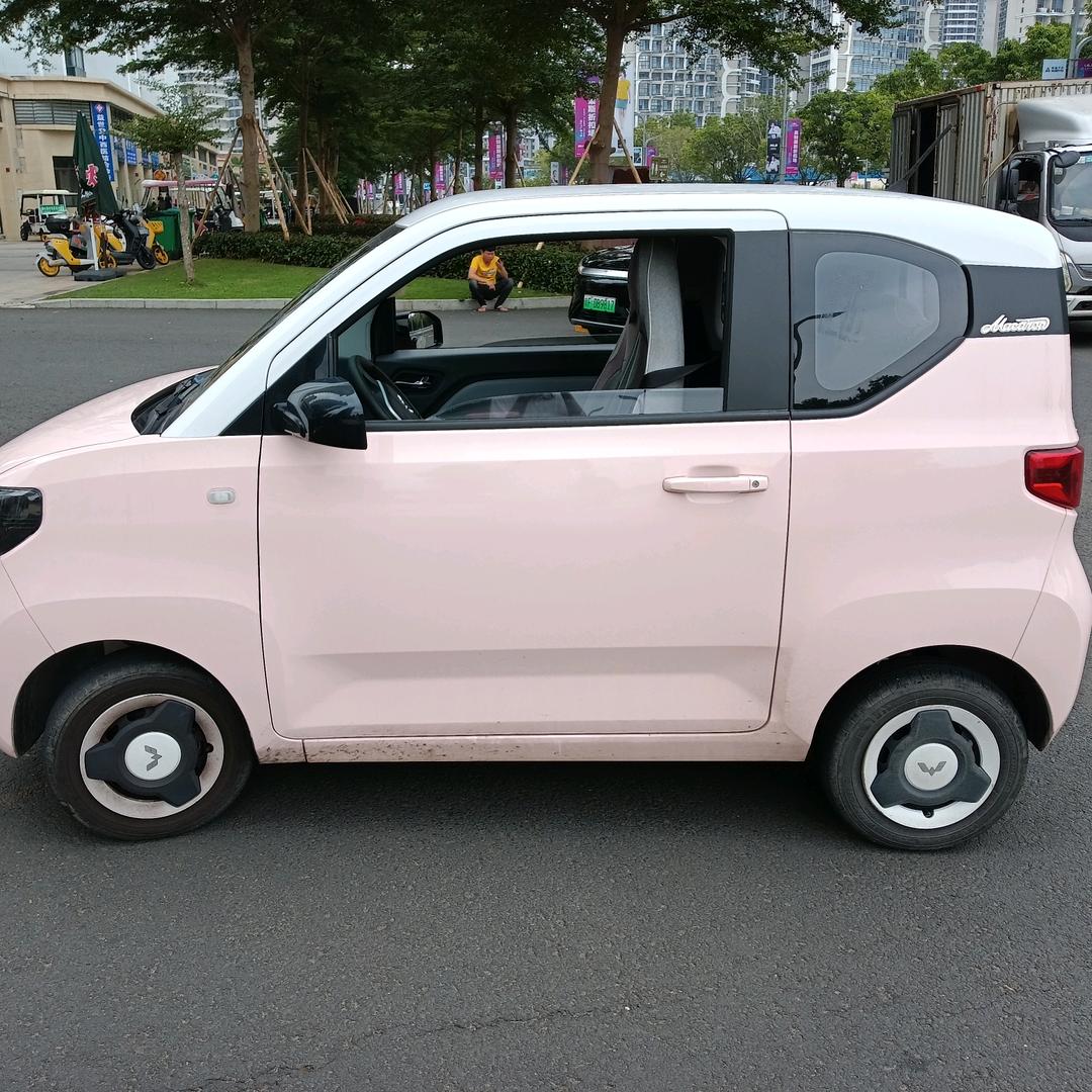 一日游60元/人租车租房旅游用车