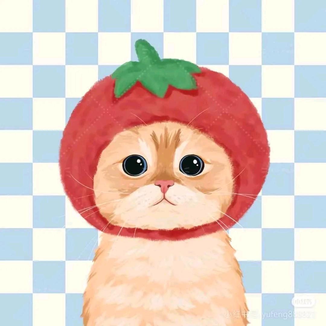 🌈tomato🍅