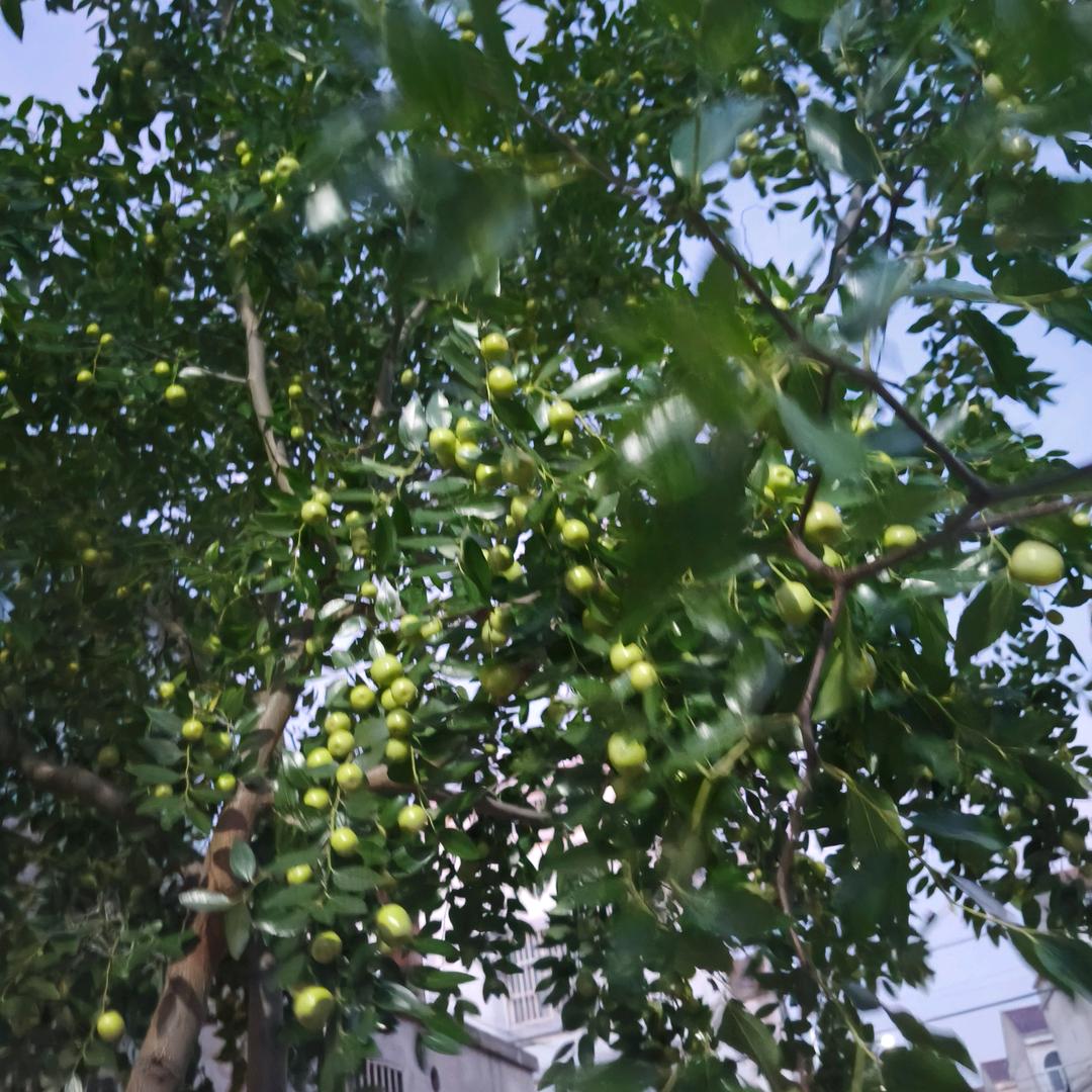，简简单单