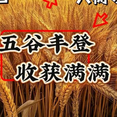 ꧁꫞꯭今天🌺会更好꫞꧂