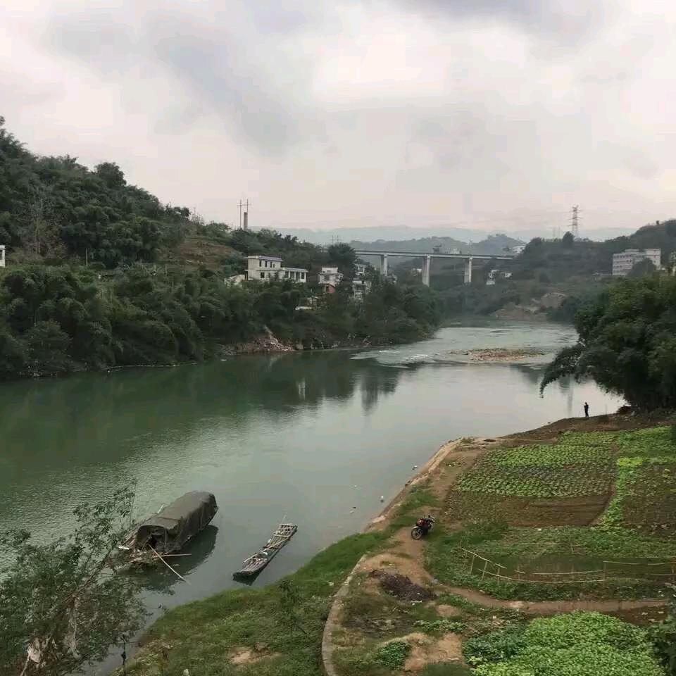 川Q宜宾人在广东