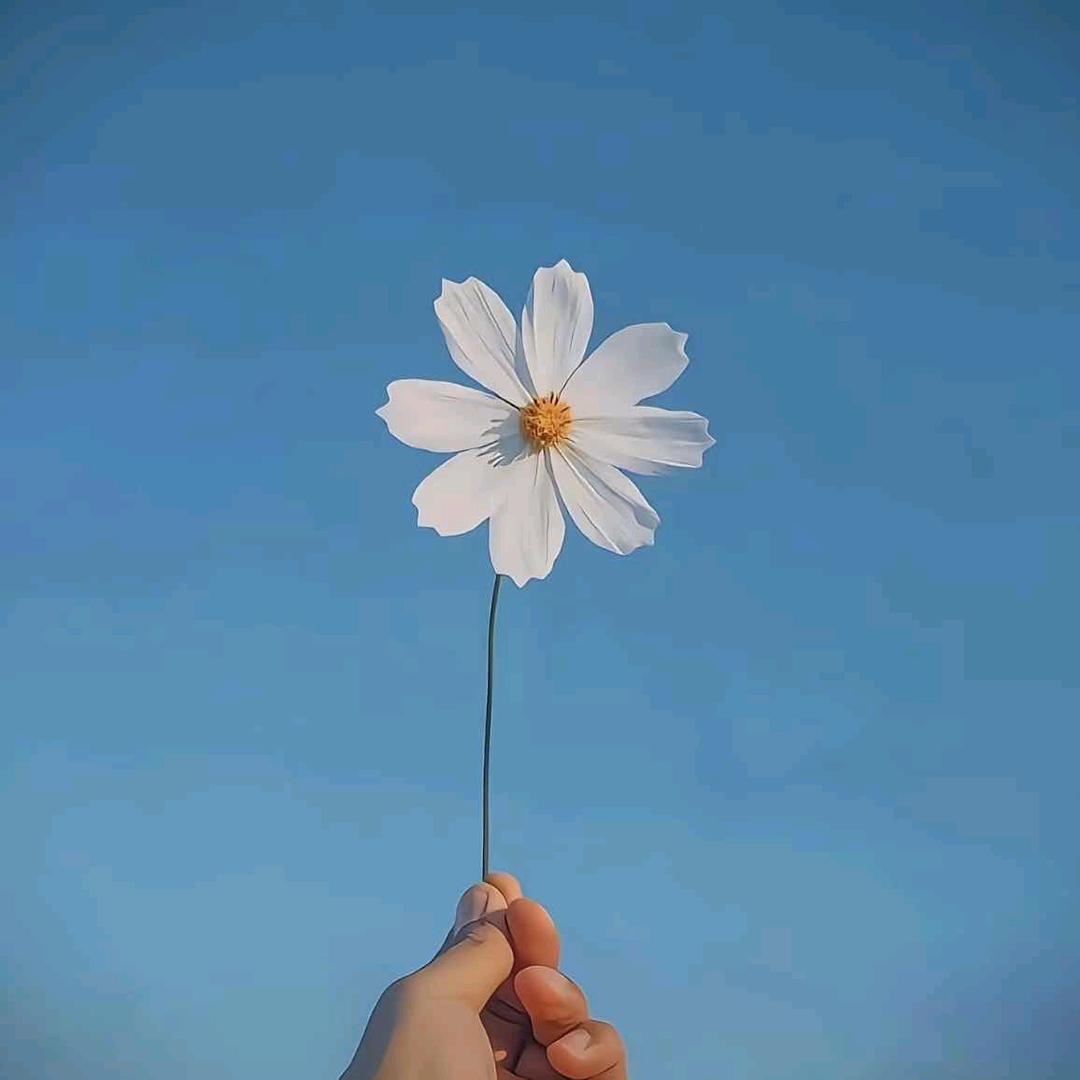 笑笑不说话😏