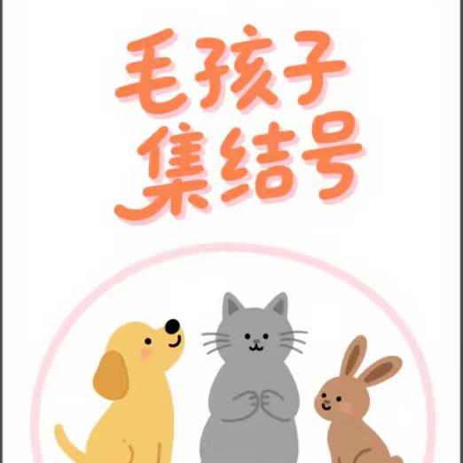 全国同城😸😸宠物搭子群