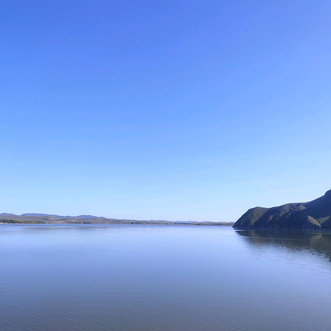 大婶本婶（情感）