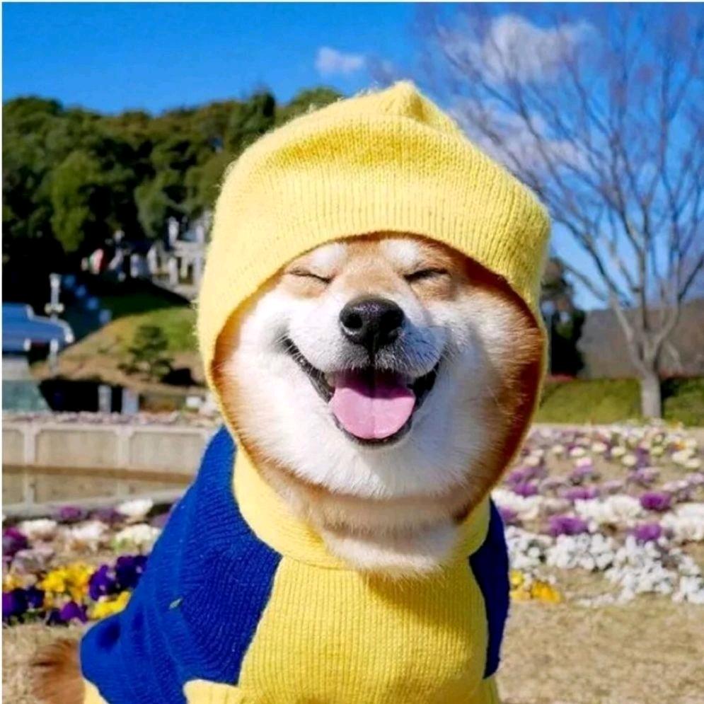 袁顺心