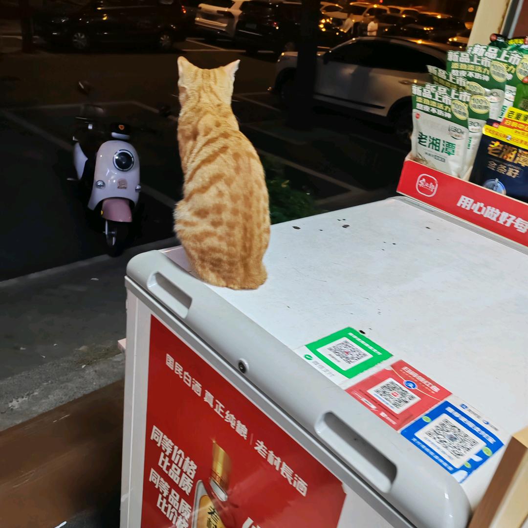 用户7118108一生有你165775