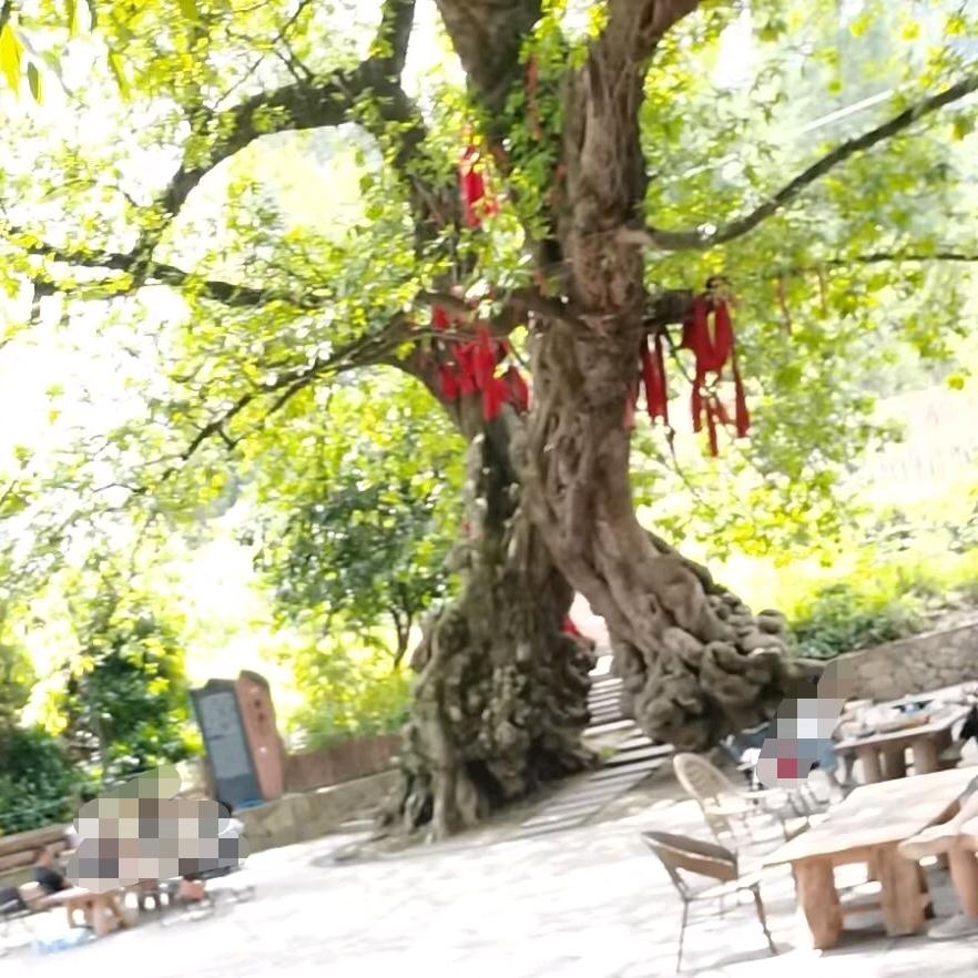 ໑ຼₒ₂₅ღ᭄一根香烟解千愁꧔ꦿ᭄💞