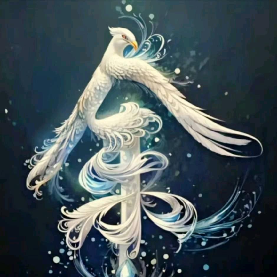 上海宝山AA产经纪人小鱼儿