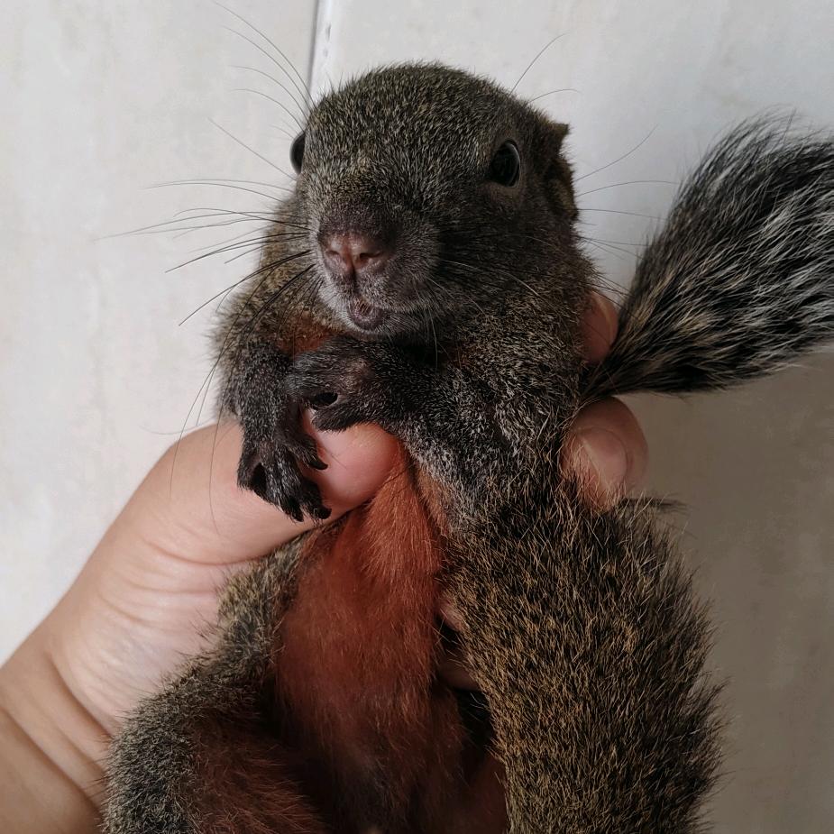 求神的怜悯为一家人醒清