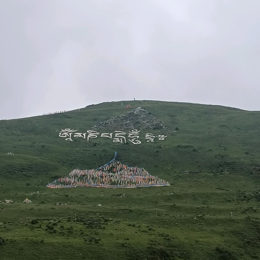 果小杨