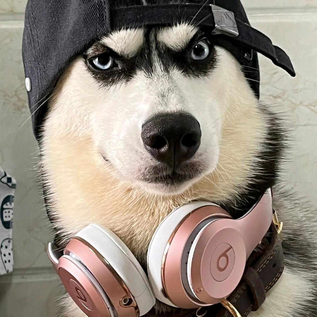 小玄策
