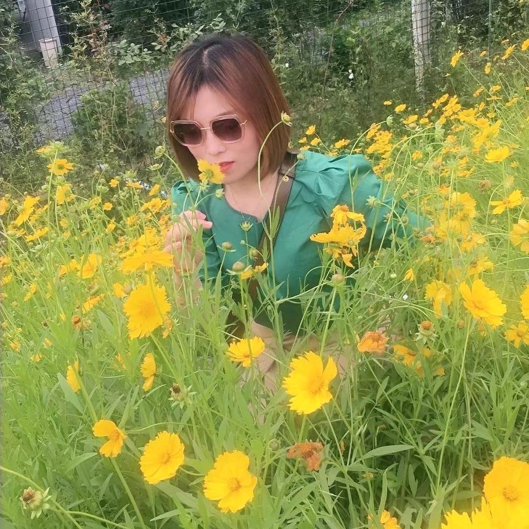 玉鹏钟小凤