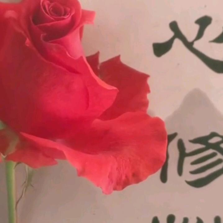 禾呈画诗意