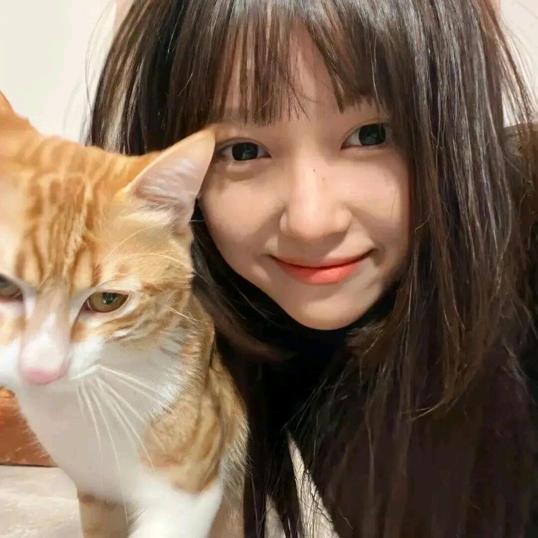 懒猫😺