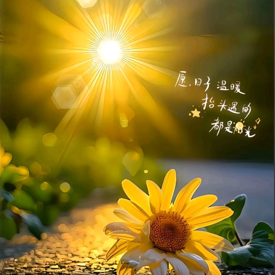 随心所欲