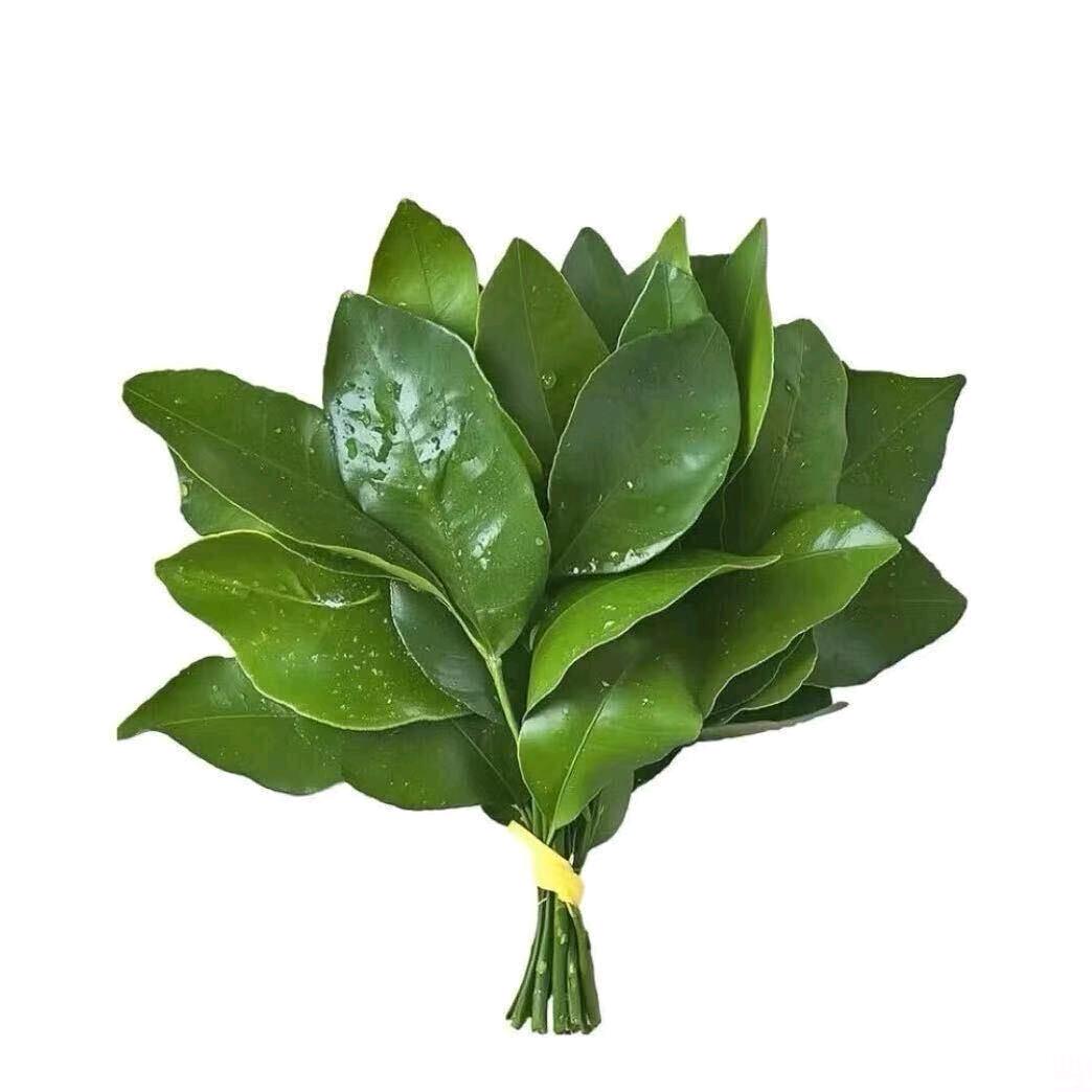 梨
