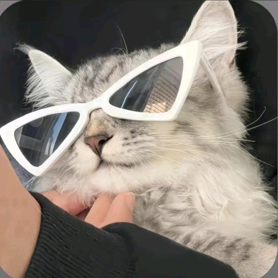 泽宇.