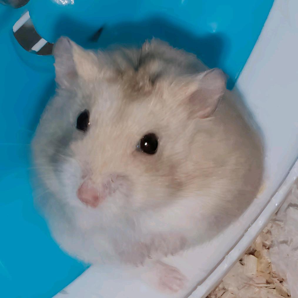在熬