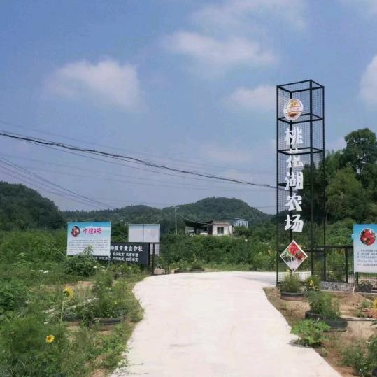 罗江区桃花湖家庭农场