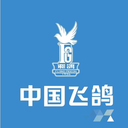 飞鸽自行车南阳师范店