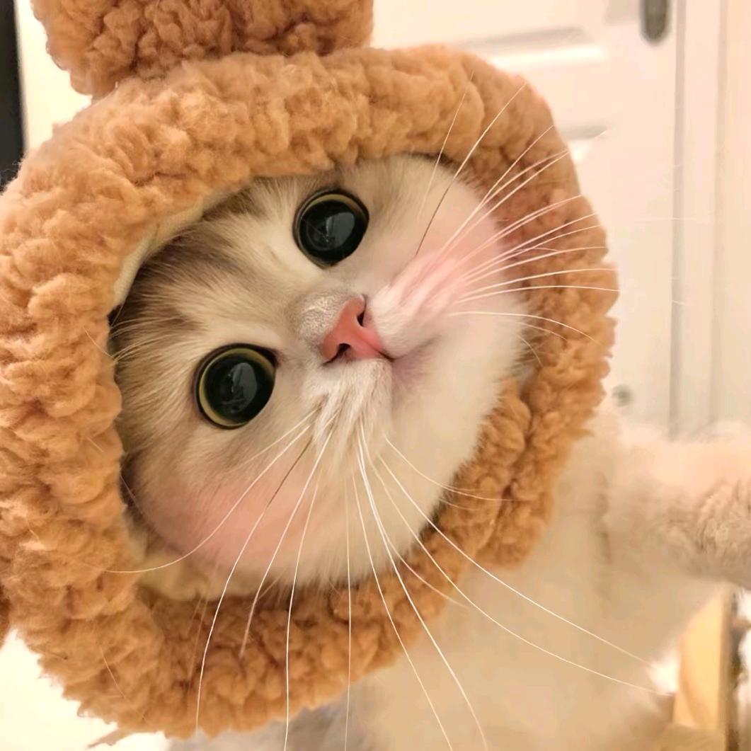 闻临百货