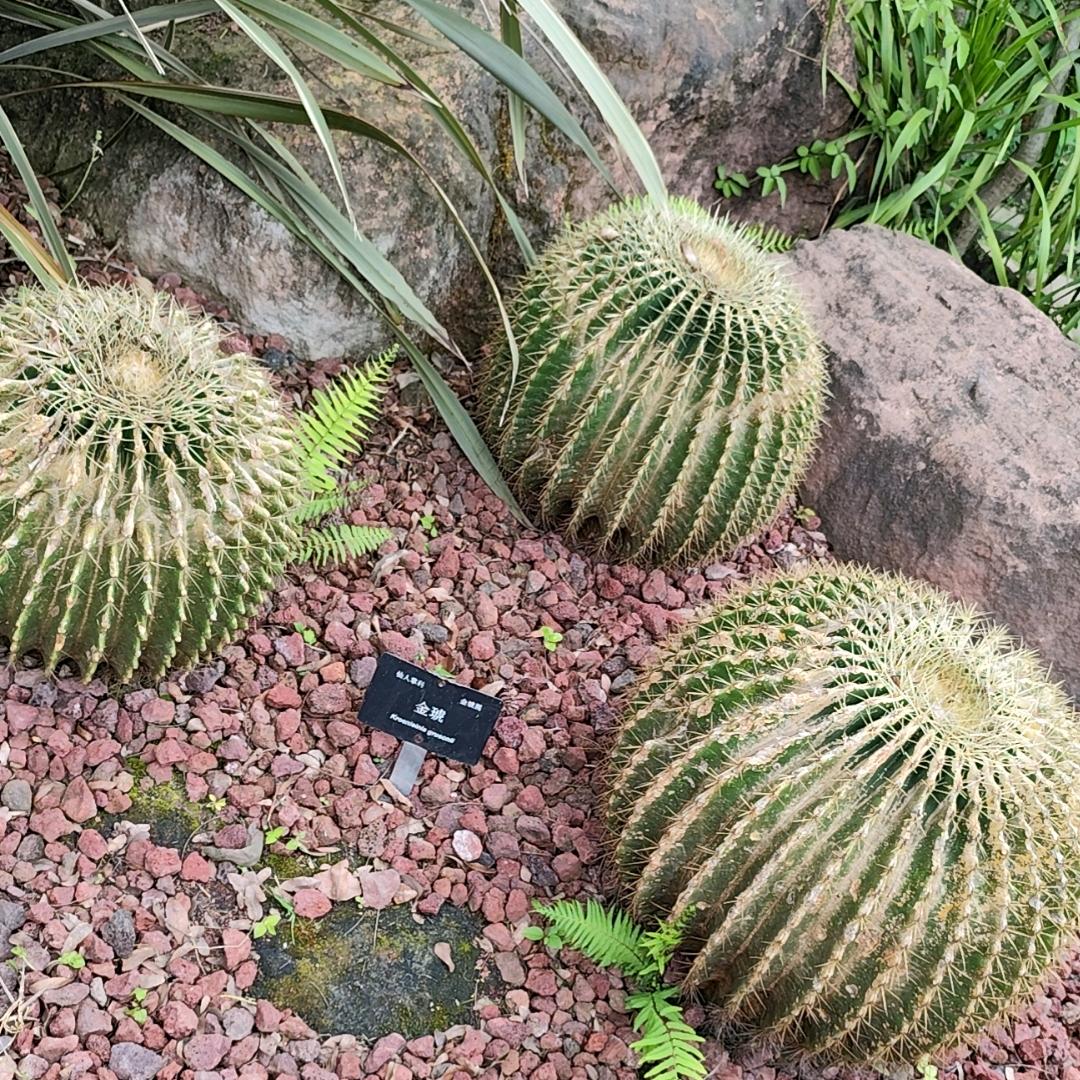 拥抱星空的◇唯美