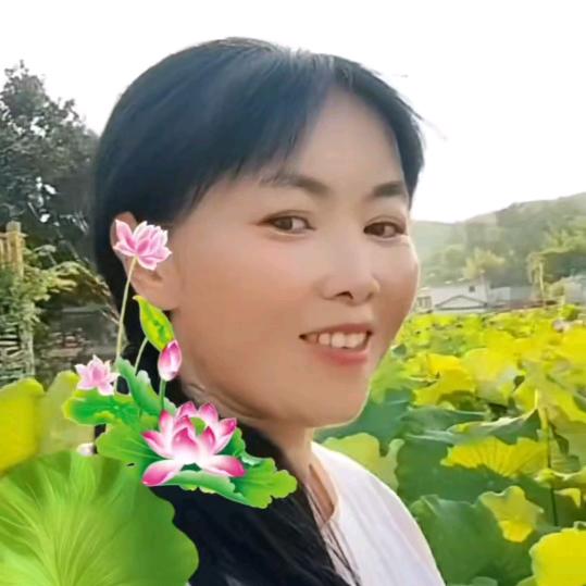晓燕姐