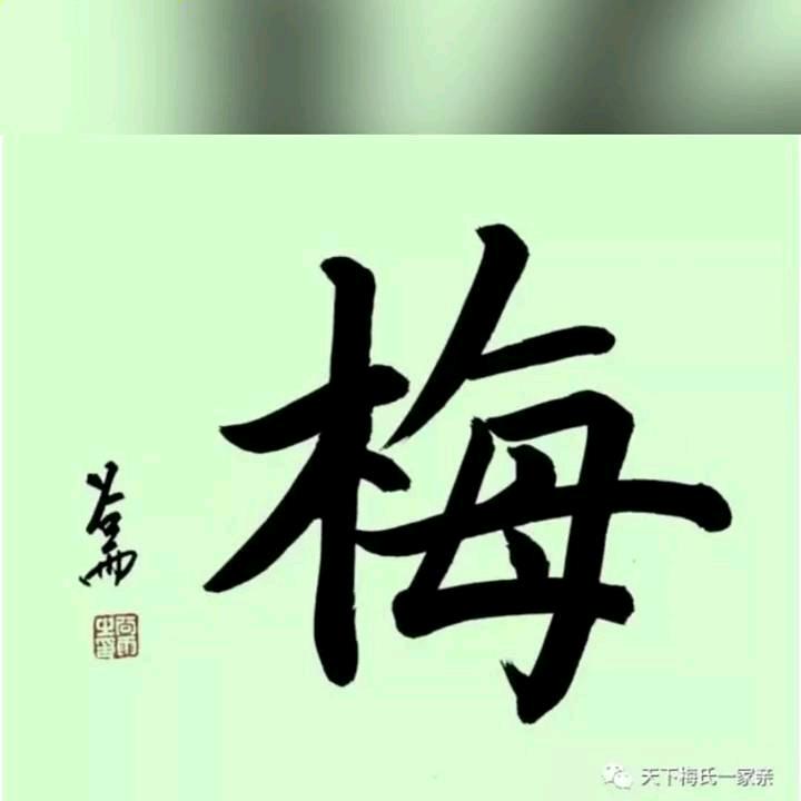 看花听雨