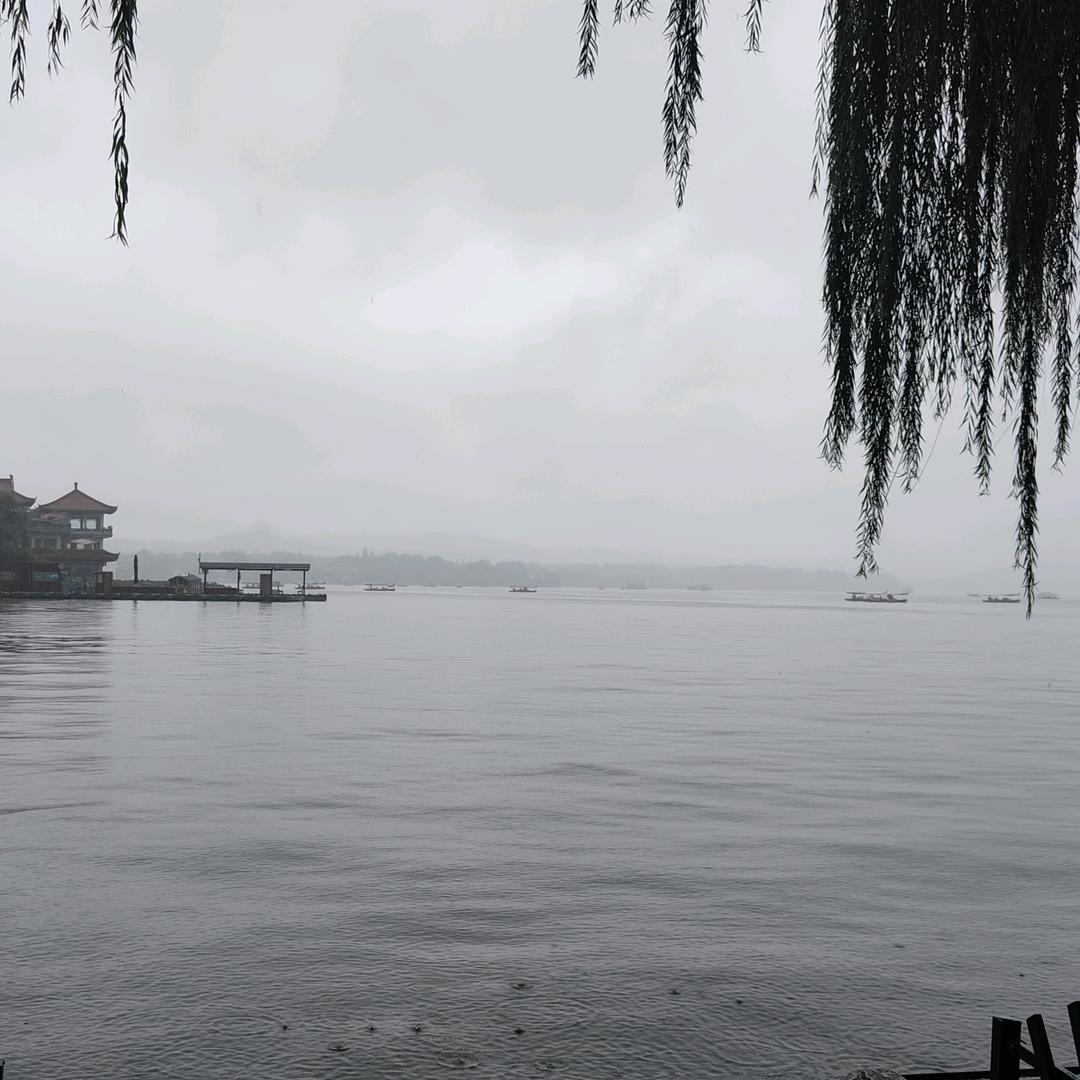 陈伟