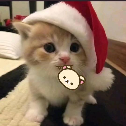 蛋黄酥的小蛋黄