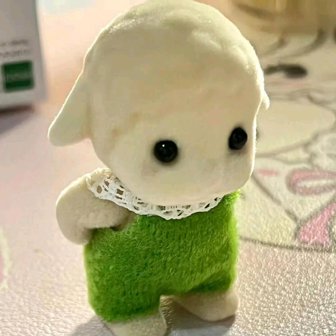 吃洋芋长大的马铃薯变成了圆圆的土豆