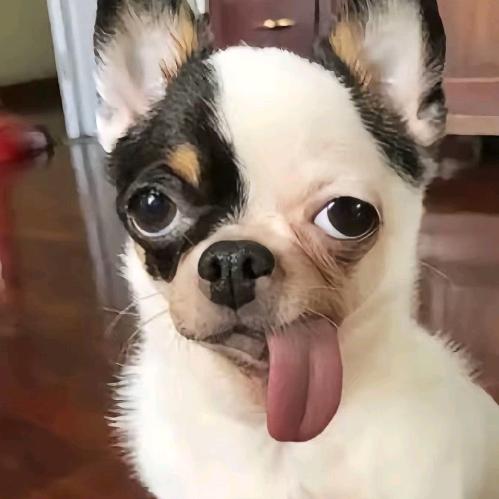 迷你世界一战指挥官