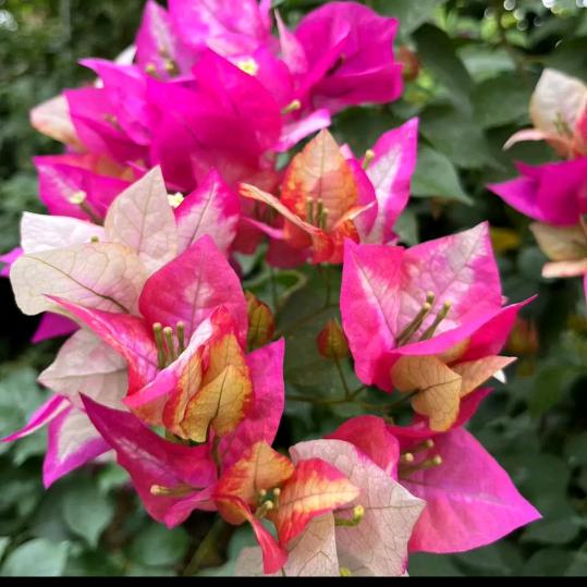 ✨✨静心❤️✨✨