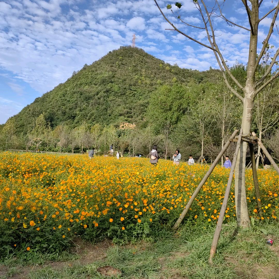熊熊很芒