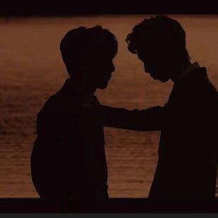 铲屎官（极速版）