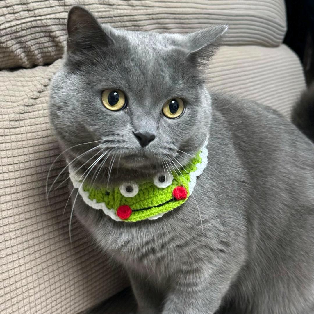 大懒猫精选好物