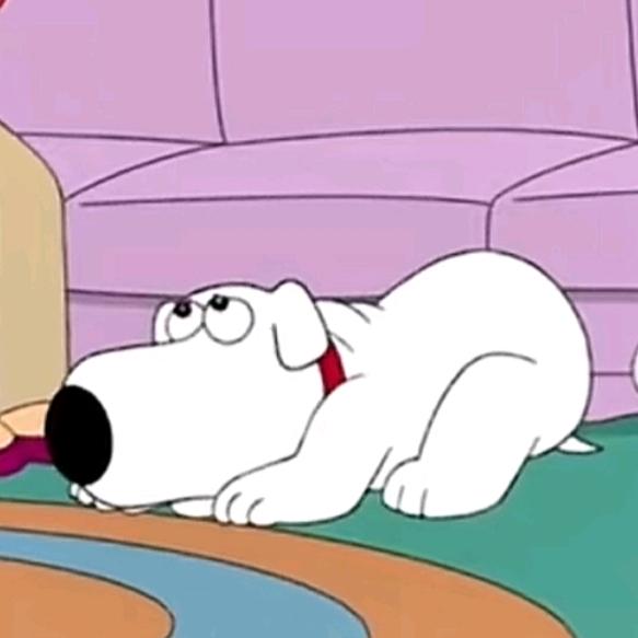 坚果🌰 & 小肥虾🍤见过南北弘石版