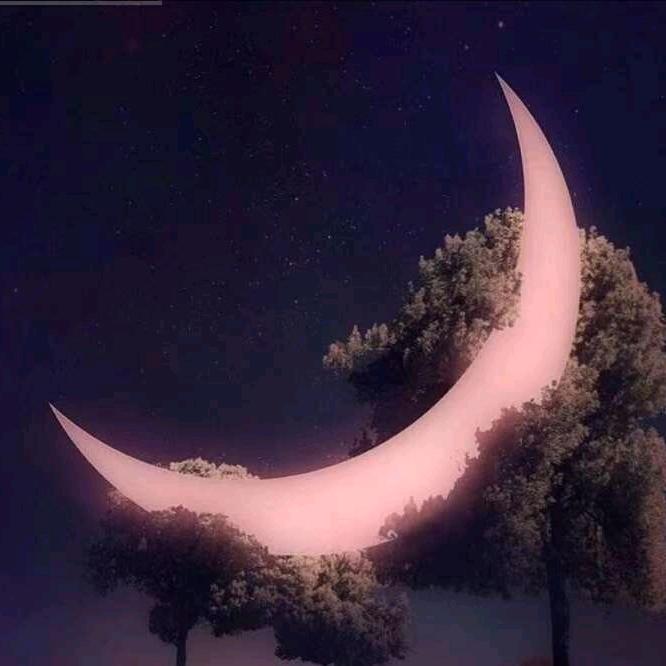 💗᭄往事🕊꯭᭄꯭ꦿ清零 ࿐