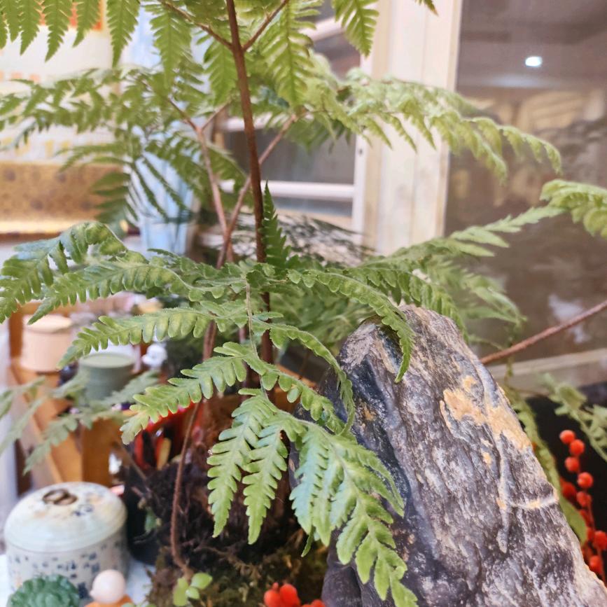 海棠娜娜🌈🌈🌈